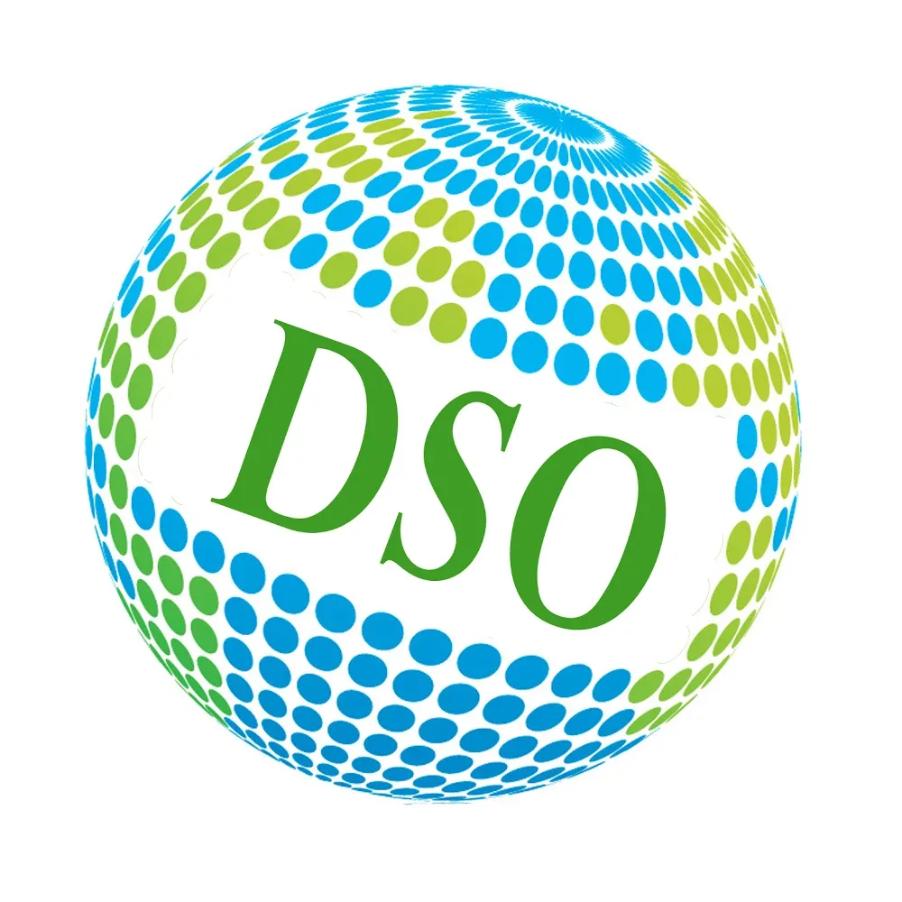 DSO Immigration & Education Consultants