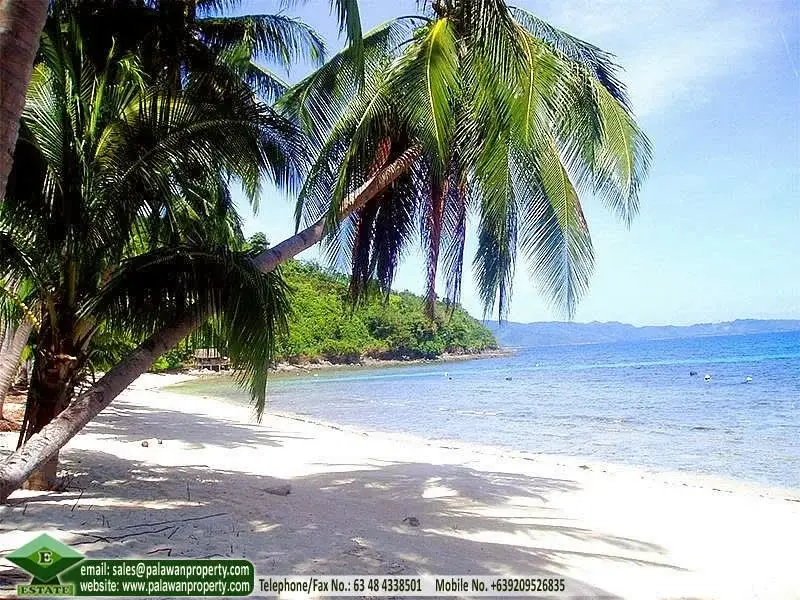 E - Estate Palawan Development Corp