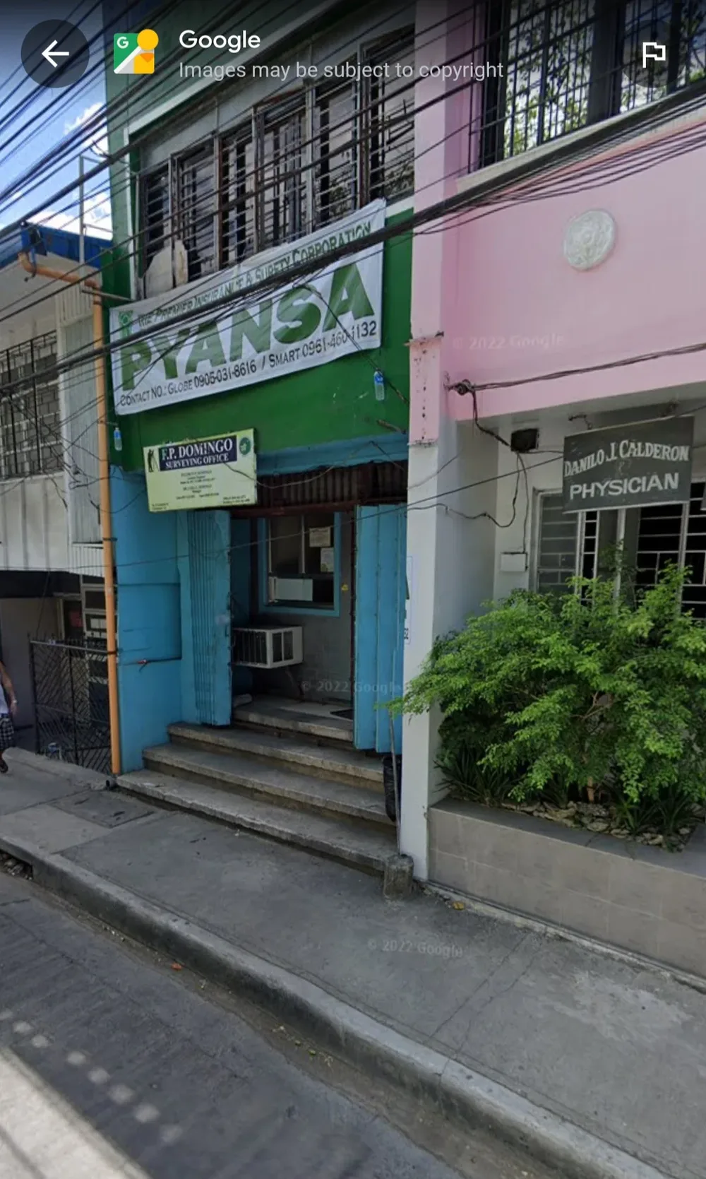 F.P. Domingo Surveying Office