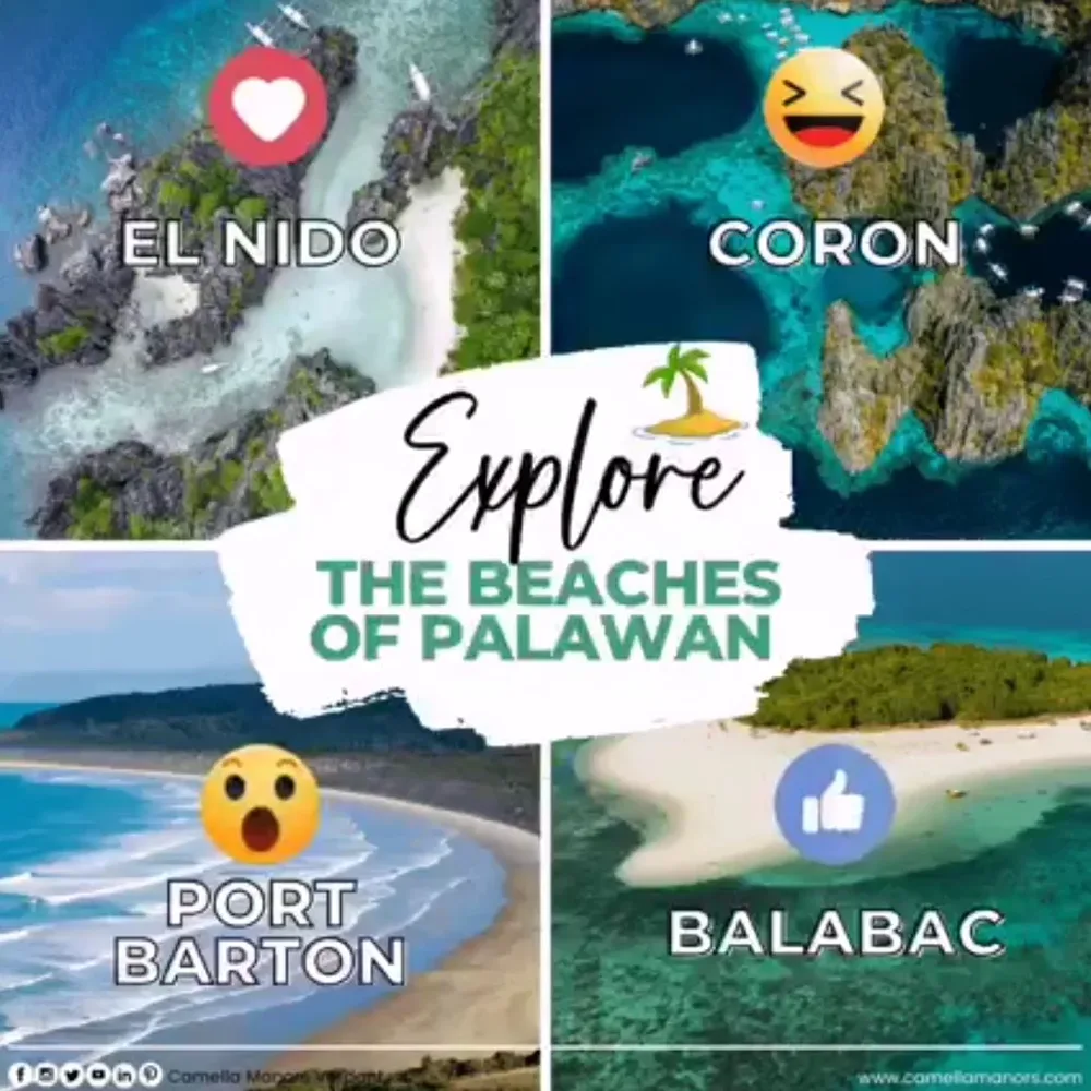 Palawan Property Investment - 3