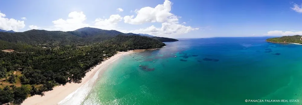 Panacea Palawan Real Estate