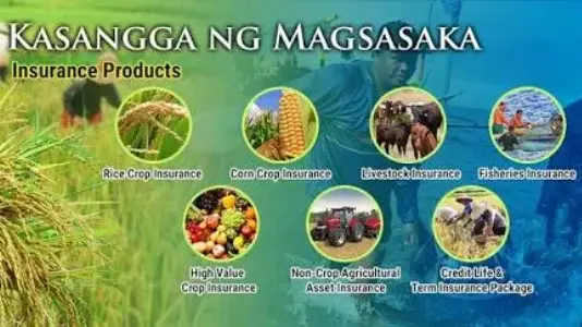 PHILIPPINE CROP INSURANCE CORPORATION, REGIONAL OFFICE 5