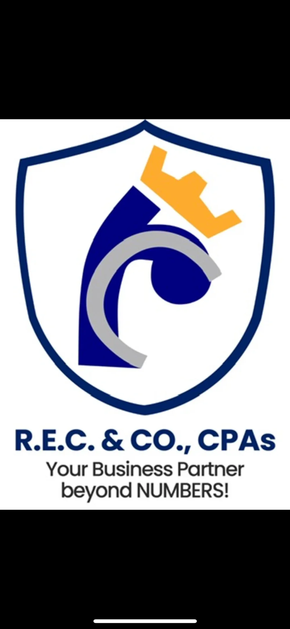 R.E.C. Group (CPAs, BOSI, BIZTECH)